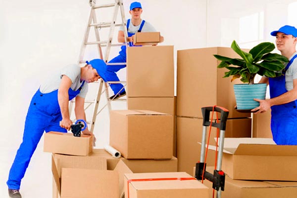 Shree Shivay Packers and Movers